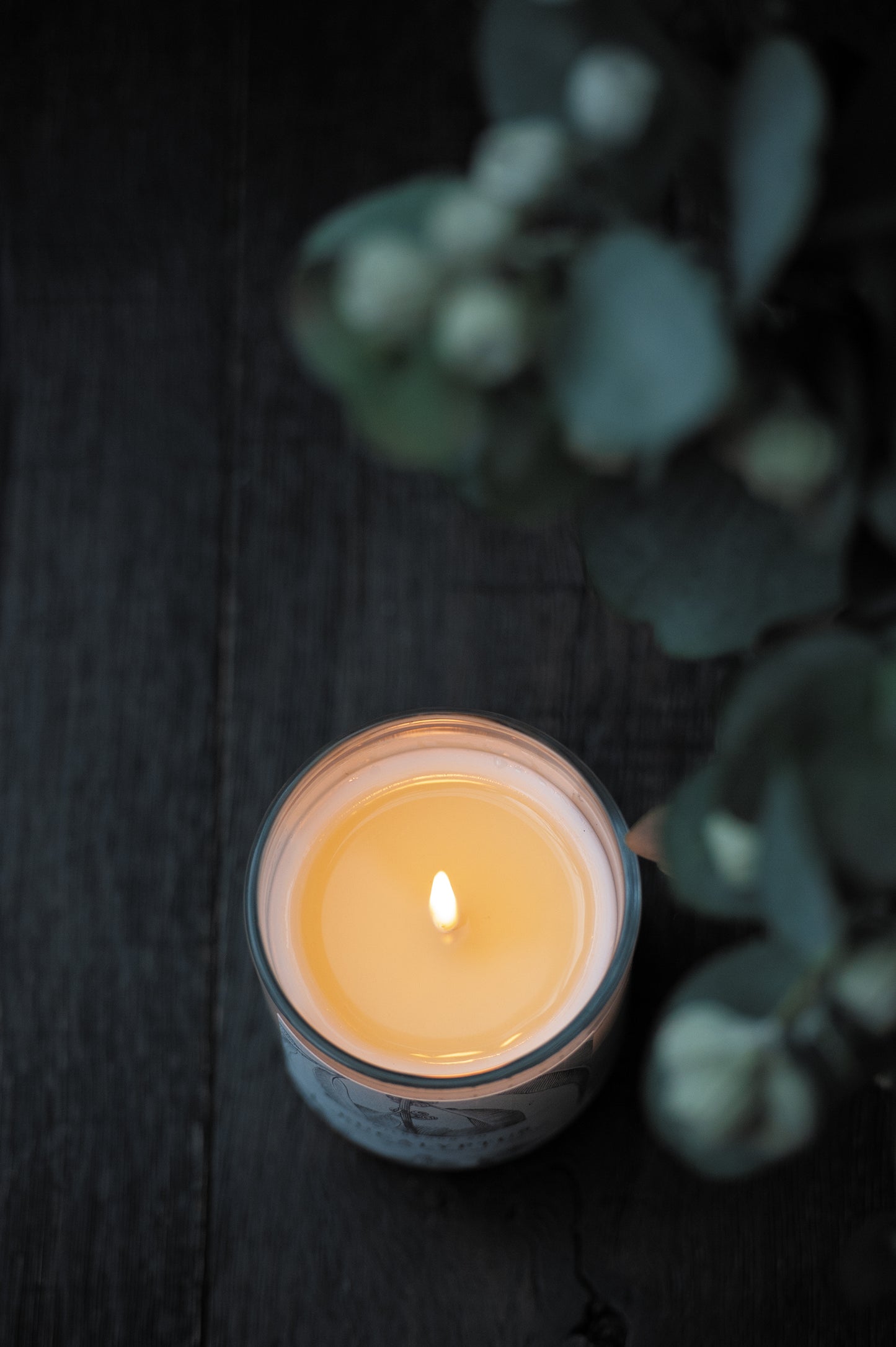 VELVET ROSE + CLOVE with Geranium + Cinnamon Leaf W/S