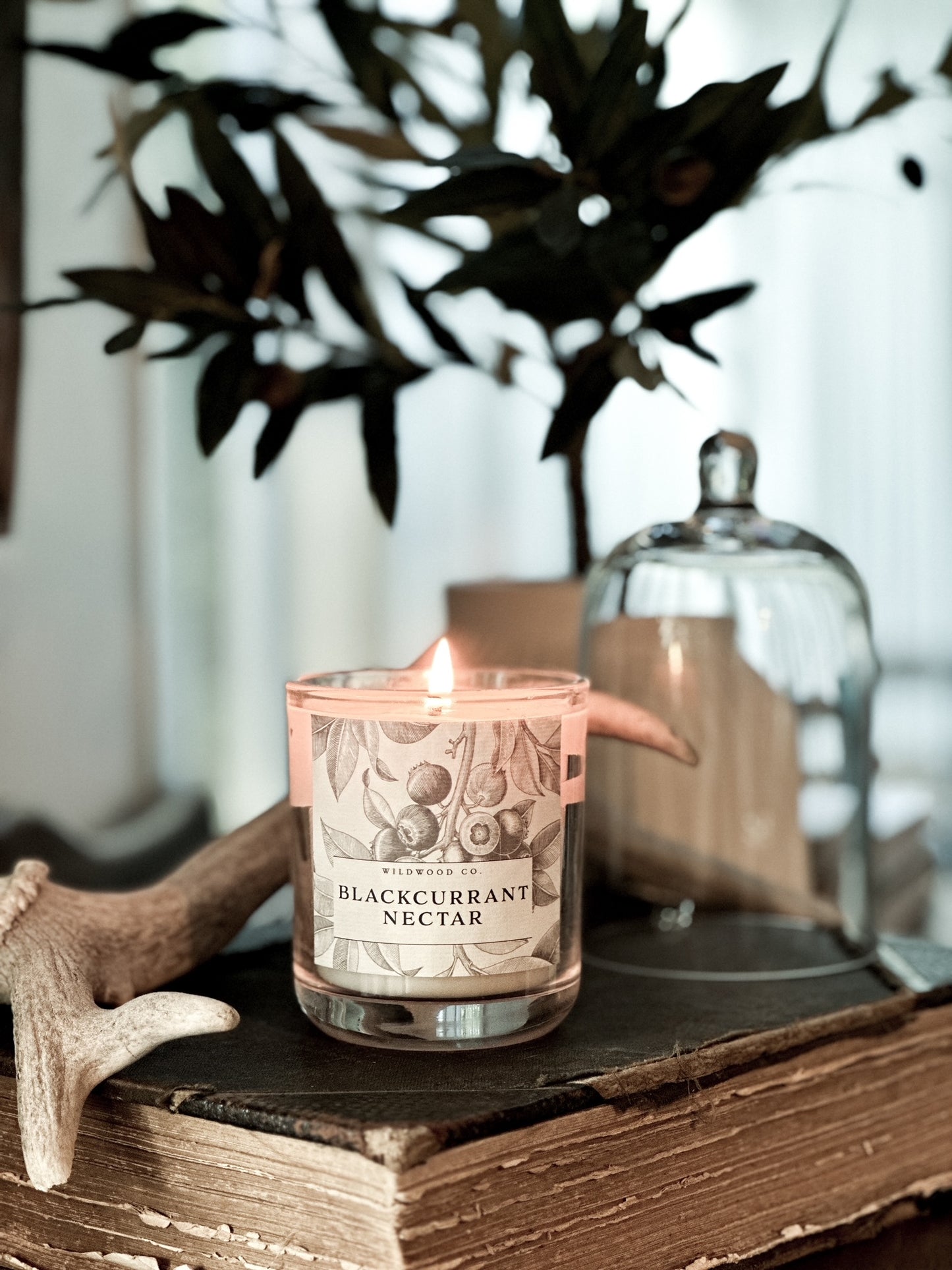 Blackcurrant Nectar with Rose de Mai, Vanilla + Amber